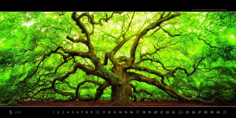 kalendarz ścienny z panoramą na rok 2026