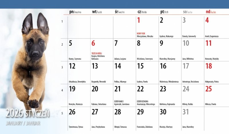 kalendarz na biurko na rok 2026