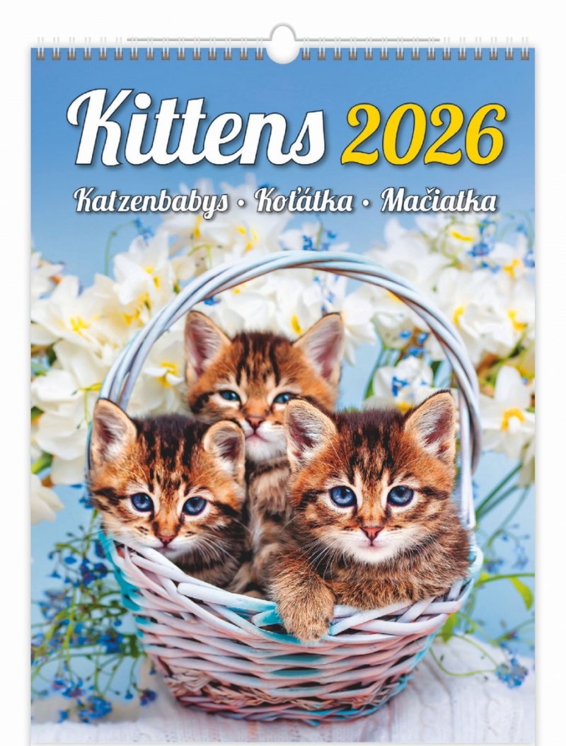 kalendarz ścienny wieloplanszowy Kittens 2026