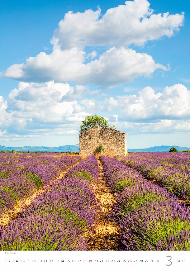 Kalendarz ścienny wieloplanszowy Provence 2023 - marzec 2023