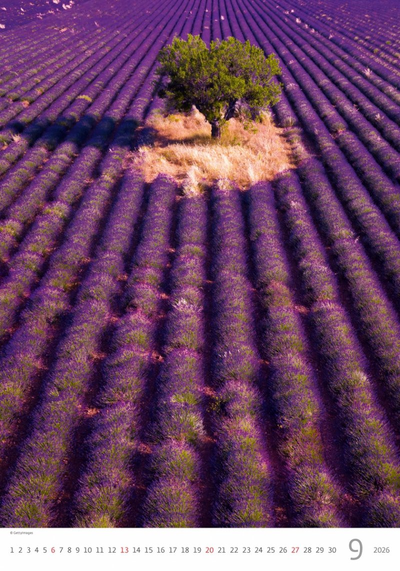 N142 Kalendarz ścienny wieloplanszowy Provence 2026