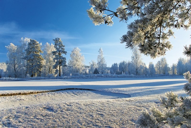 Kalendarz ścienny wieloplanszowy Golf 2025 - grudzień 2025