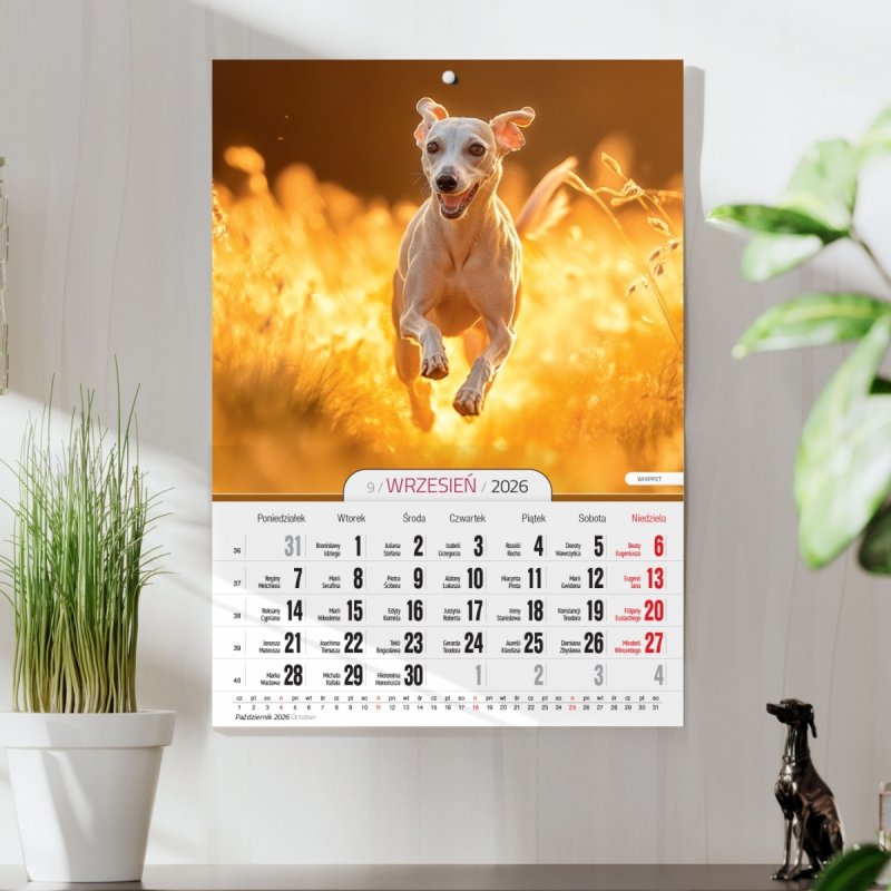 Kalendarz ścienny wieloplanszowy A4 PSY 2026