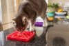 Mata LickiMat® Classic Catster™ pomarańczowa
