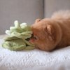 Pups & Bubs SNUFFLE CABBAGE Kapusta zabawka węchowa 