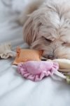 Pups & Bubs RAVIOLI zabawka węchowa 