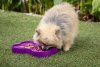 Miska slow food spowalniająca jedzenie SMALL SLODOG® fioletowa