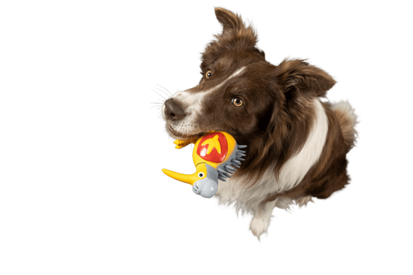 ZESTAW! Kiwi Walker Zabawki dla psa WHISTLE WHITE HELMET + WHISTLE NURSE + WHISTLE KNIGHT