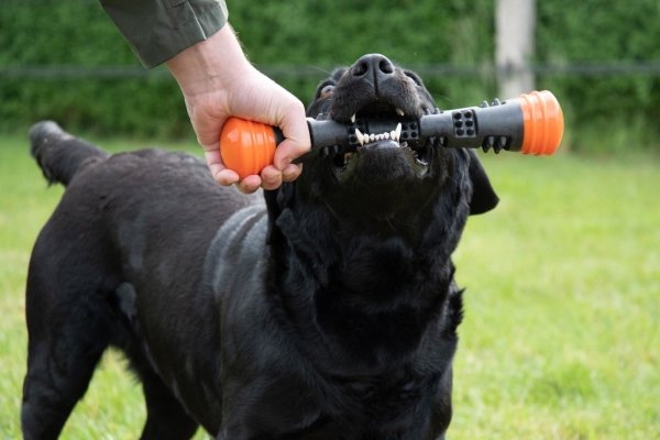 Dog Comets METEOR patyk do zabawy rozmiar L różowy