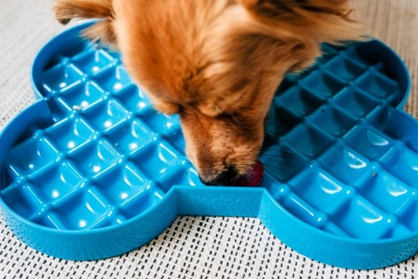 Miska spowalniająca jedzenie SLODOG® turkusowa
