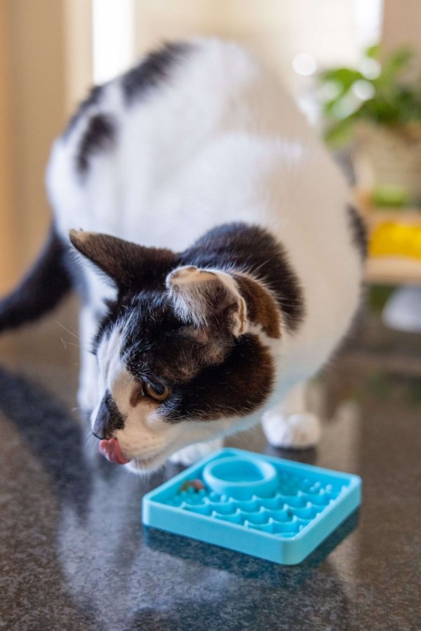 Mata LickiMat® Classic Kitty™ turkusowa