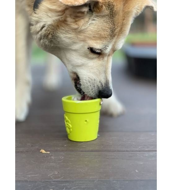 Soda Pup Flower Pot Orange - doniczka na jedzenie dla psa zielona