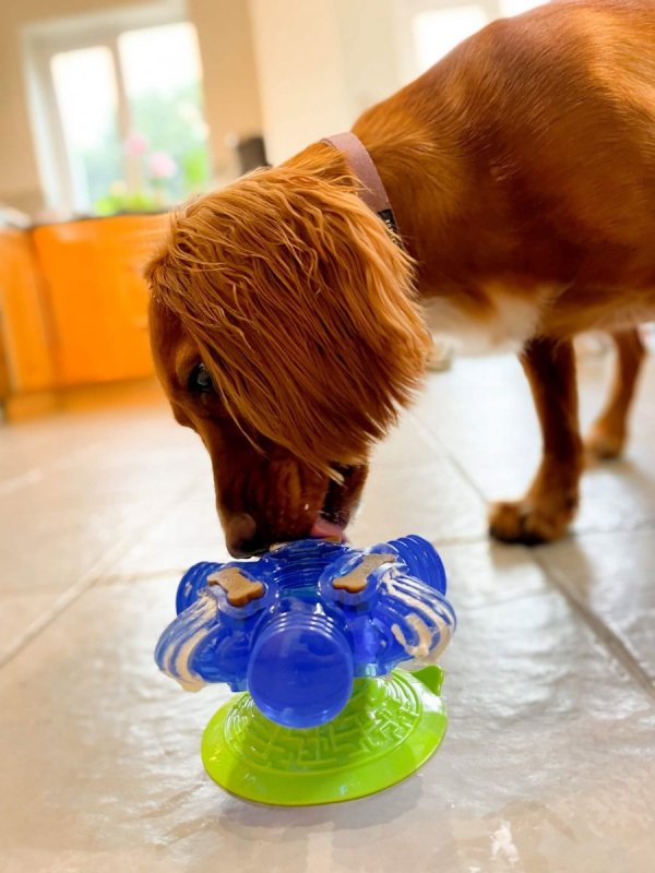 K9 Connectables BRAIN TEASER PRO Medium