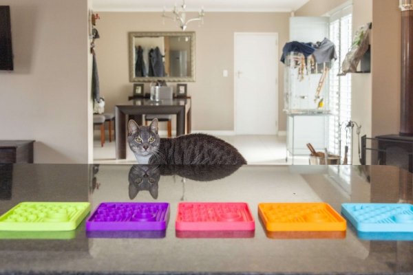 Mata LickiMat® Classic Catster™ pomarańczowa