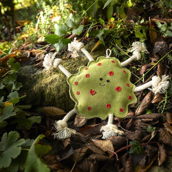 GREEN &amp; WILD'S Splodge (Bazgrołek)