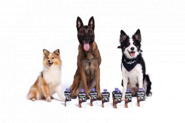ZESTAW! YOW UP! Prebiotyki Jogurt naturalny dla psa + Skóra i Sierść + Zdrowe Stawy 3 x 115g