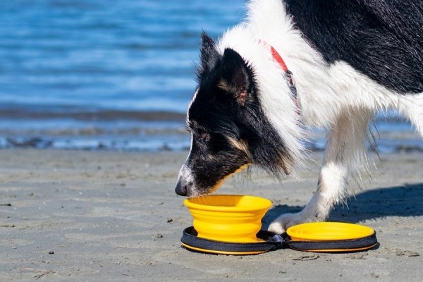 Kiwi Walker TRAVEL DOUBLE BOWL zestaw misek turystycznych pomarańczowych