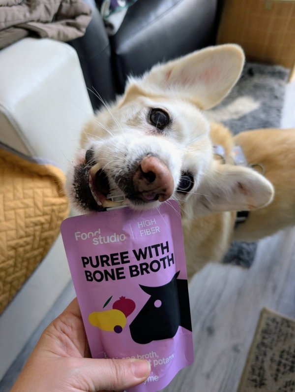 Food Studio Chefs PUREE dla psów z bulionem kostnym WOŁOWYM z batatami, dzikimi jagodami, burakami i tymiankiem 150ml