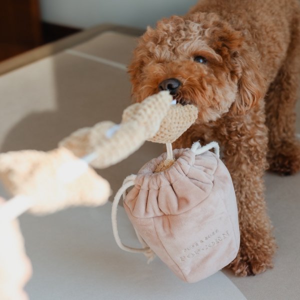 Pups &amp; Bubs POPCORN zabawka węchowa 