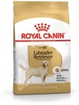 Royal 255560 Labrador Retriever Adult 12kg
