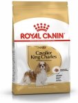Royal 255040 Cavalier King Charles Adult 1,5kg