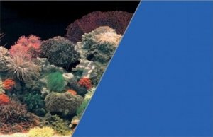 ZOLUX 354864 Tło akw. 40x60cm koralowiec/niebieski