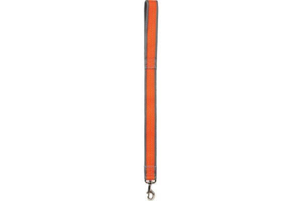 Zolux Smycz Summer 40mm/60cm orange*