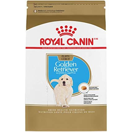 Royal 257570 Golden Retriever Puppy 3kg