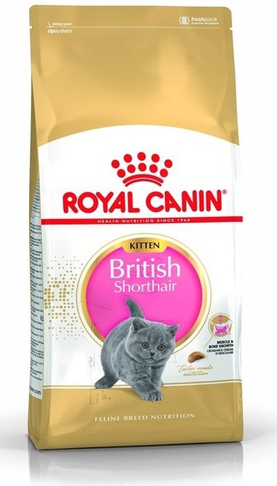 Royal 251990 British Shorthair Kitten 2kg