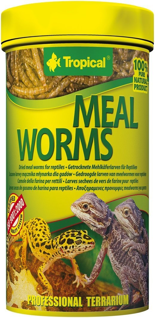 Trop. 11183 Meal Worms 100ml terraria