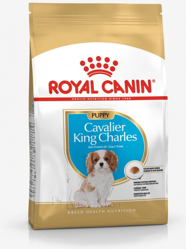 Royal 257440 Cavalier King Charles Puppy 1,5kg