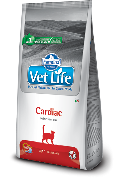Vet Life Cat 0382 400g Cardiac