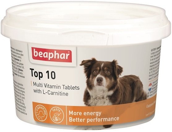 Beaphar 12542 TOP 10 180szt-witaminy dla psa
