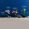 Zestaw Prezent Klocki LEGO ICONS 10309 Botanical Sukulenty Kwiaty + Torba