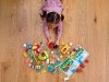 Zestaw Prezent LEGO Duplo Wielkie Pudełko Klocki Uniwersalne BOX + Torba