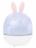 Astroplanetarium Levenhuk LabZZ Star Sky P1
