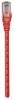 INTELLINET NETWORK SOLUTIONS RJ-45 - RJ-45 2 m 2 Patchcord