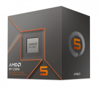 Procesor AMD Ryzen 5 8500G BOX (3.5 GHz /16 MB /Socket AM5 ) 