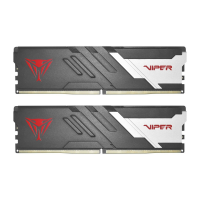 Pamięć PATRIOT (DIMM/DDR5/64 GB/6000MHz/30 CLCL/DUAL) 