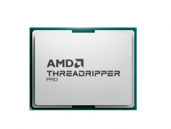 Procesor AMD Threadripper PRO 7955WX OEM (4.5 GHz /64 MB /Socket sTR5 )