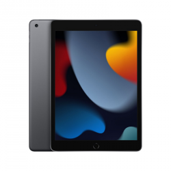 Tablet APPLE iPad 10.2 cala 256 GB Space Gray (Gwiezdna Szarość) 10.2