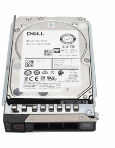 DELL 161-BCFV (2.4 TB /2.5 /10000RPM )