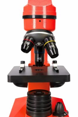 Mikroskop Levenhuk Rainbow 2L OrangePomarańcza