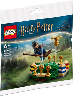LEGO 30651 Harry Potter - Trening quidditcha