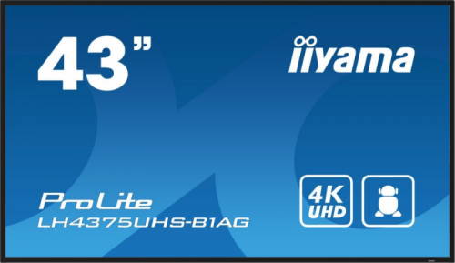 Monitor IIYAMA LH4375UHS-B1AG (42.5&quot; /IPS /60Hz /3840 x 2160 /Czarny )