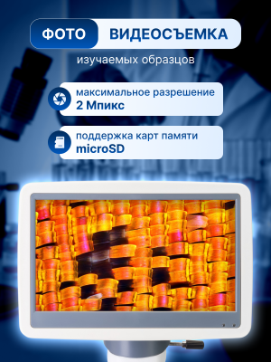 Mikroskop cyfrowy Levenhuk D95L LCD