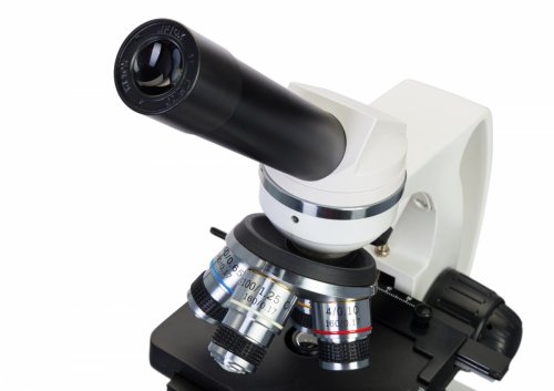 Mikroskop cyfrowy Levenhuk Discovery Femto Polar z książką