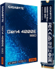 Dysk SSD GIGABYTE G440E250G (M.2 2280″ /250 GB ) 