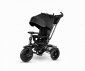 Qplay Rowerek Trójkołowy Premium Black 