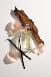 PERFUMY DAMSKIE ÉLÉGANT TOMONSKI 50 ml